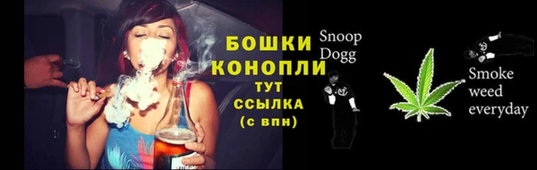 спиды Богданович