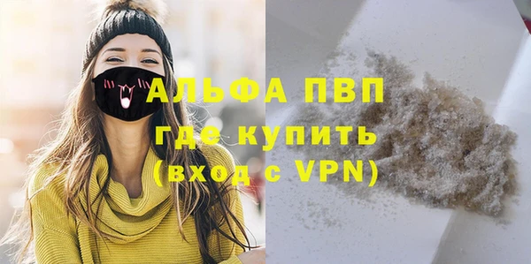 спиды Богданович
