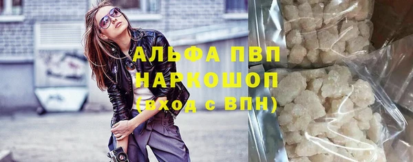 спиды Богданович